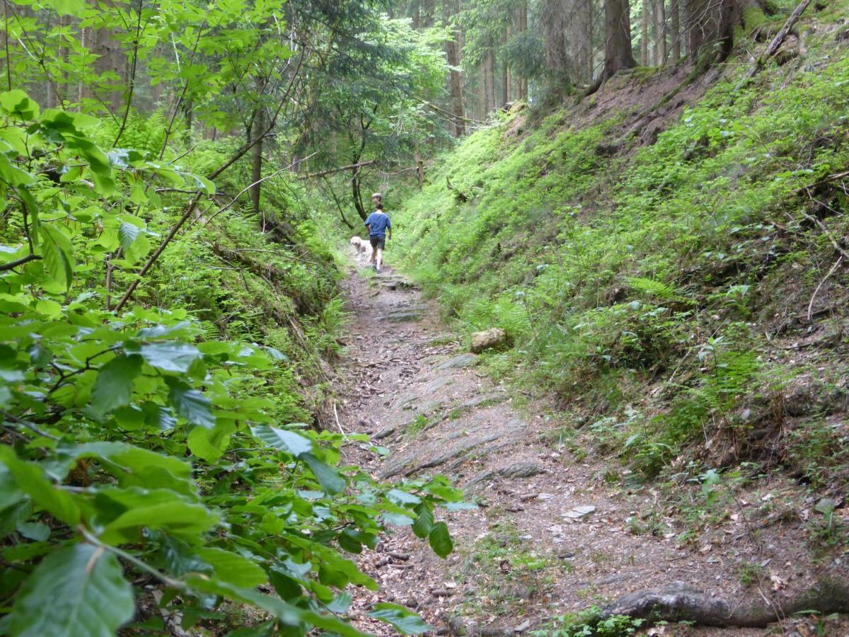 Kueken Winterberg 아파트 외부 사진